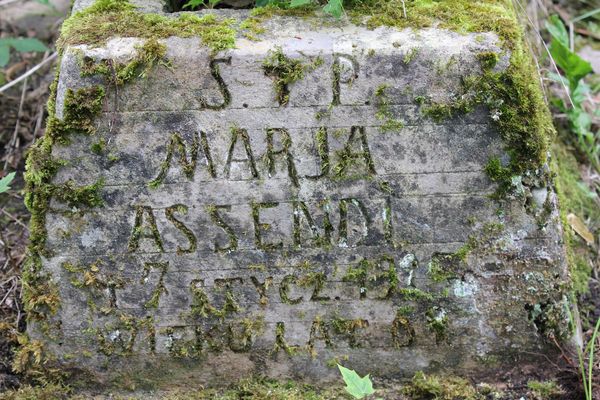Fragment nagrobka Marii Assendi, cmentarz na Rossie w Wilnie, stan z 2013