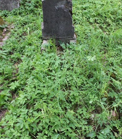 Nagrobek Franciszka Ejsana, cmentarz na Rossie w Wilnie, stan z 2013