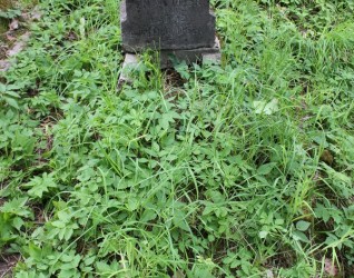 Nagrobek Franciszka Ejsana, cmentarz na Rossie w Wilnie, stan z 2013