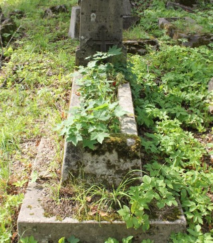 Nagrobek Heleny Tracewskiej, cmentarz na Rossie w Wilnie, stan z 2013