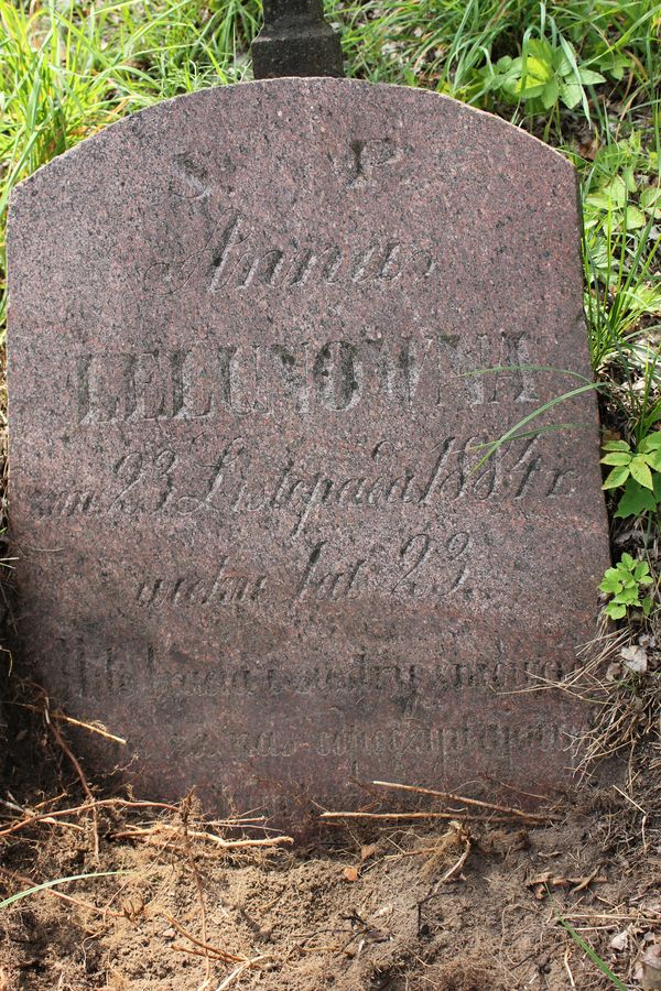 Fragment of Anna Lelunov's tombstone, Ross Cemetery, Vilnius, 2013