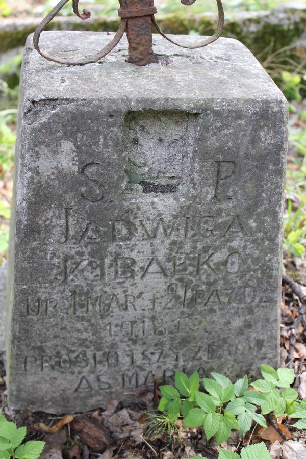 Fragment nagrobka Jadwigi Kibałko, cmentarz na Rossie w Wilnie, stan z 2013