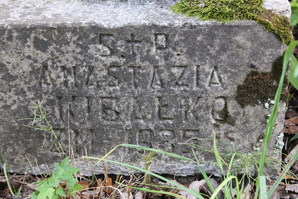 Fragment nagrobka Anastazji Kibałko, cmentarz na Rosie w Wilnie, stan z 2013