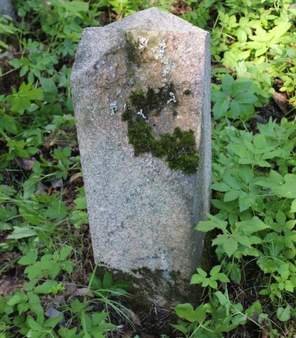 Nagrobek N.N., cmentarz na Rossie w Wilnie, stan z 2013