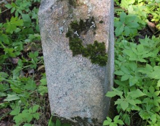 Nagrobek N.N., cmentarz na Rossie w Wilnie, stan z 2013