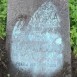 Fotografia przedstawiająca Tombstone of Joanna and Ursula Lisowski