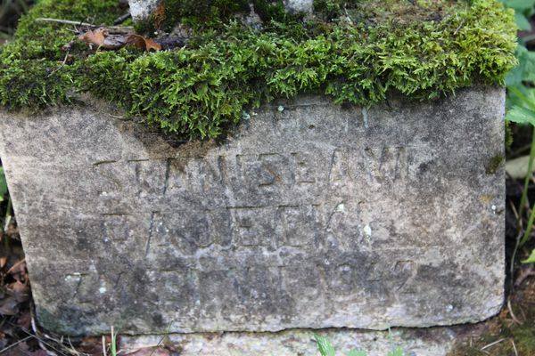 Fragment nagrobka Stanisława Rajeckiego, cmentarz na Rossie w Wilnie, stan z 2013