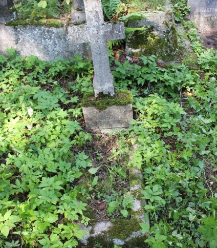 Nagrobek Stanisława Rajeckiego, cmentarz na Rossie w Wilnie, stan z 2013