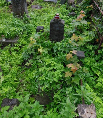 Nagrobek Adama Bolesława Sokołowskiego z cmentarza na Rossie w Wilnie, stan z 2013 roku