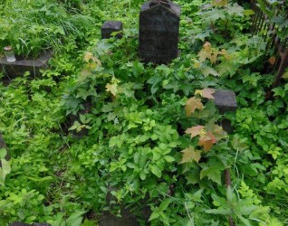 Nagrobek Adama Bolesława Sokołowskiego z cmentarza na Rossie w Wilnie, stan z 2013 roku