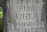 Fotografia przedstawiająca Nagrobek Emilii Rzeckiej