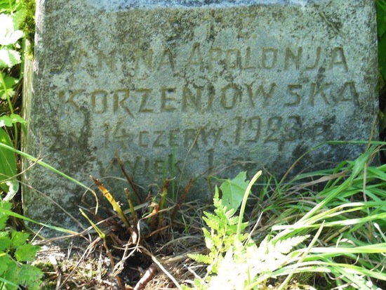 Detal inskrypcji nagrobka Janiny Korzeniowskiej, cmentarz Na Rossie w Wilnie, stan z 2013