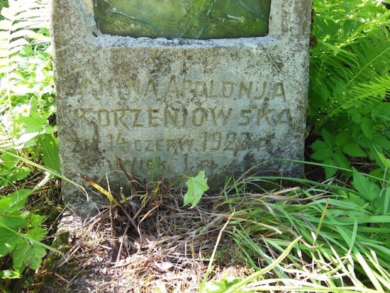 Inskrypcja nagrobka Janiny Korzeniowskiej, cmentarz Na Rossie w Wilnie, stan z 2013