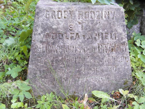 Nagrobek Adolfa i Anieli Ptak, cmentarz na Rossie w Wilnie, stan na 2013 r.