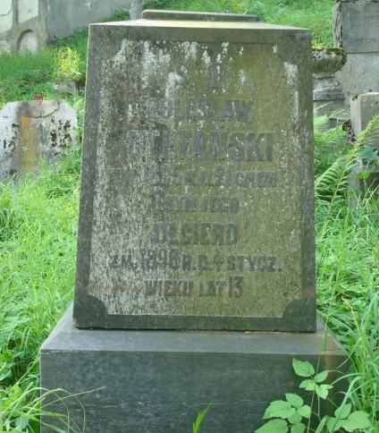 Nagrobek Bolesława i Olgiera Stefańskich, cmentarz Na Rossie w Wilnie, stan z 2013