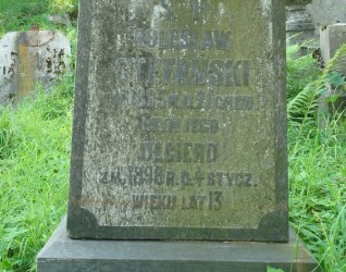 Nagrobek Bolesława i Olgiera Stefańskich, cmentarz Na Rossie w Wilnie, stan z 2013