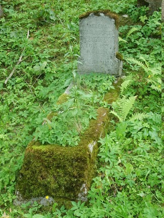 Nagrobek Heleny Przygodzkiej, cmentarz na Rossie w Wilnie, stan na 2013 r.