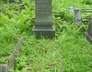 Nagrobek Karoliny Siedleckiej z cmentarza na Rossie w Wilnie, stan z 2013 r.