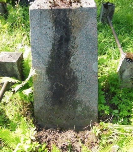 Nagrobek Józefy Kiersnowskiej, cmentarz Na Rossie w Wilnie, stan z 2013