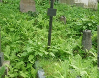 Nagrobek Zofii Grunt-Mejer, cmentarz na Rossie w Wilnie, stan na 2013 r.