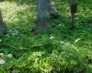 Nagrobek Jadwigi Piaseckiej, cmentarz Na Rossie w Wilnie, stan z 2015 r.