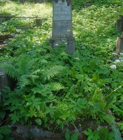 Nagrobek Piotra Grygilewicza, cmentarz Na Rossie w Wilnie, stan z 2015 r.