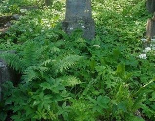 Nagrobek Piotra Grygilewicza, cmentarz Na Rossie w Wilnie, stan z 2015 r.