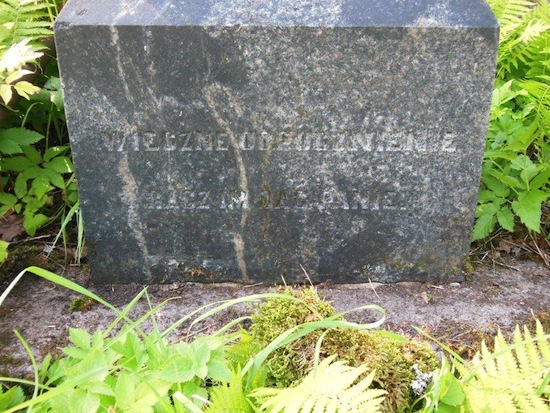 Inskrypcja nagrobka Elfrydy i Marii Kiersnowskich, cmentarz Na Rossie w Wilnie, stan z 2013