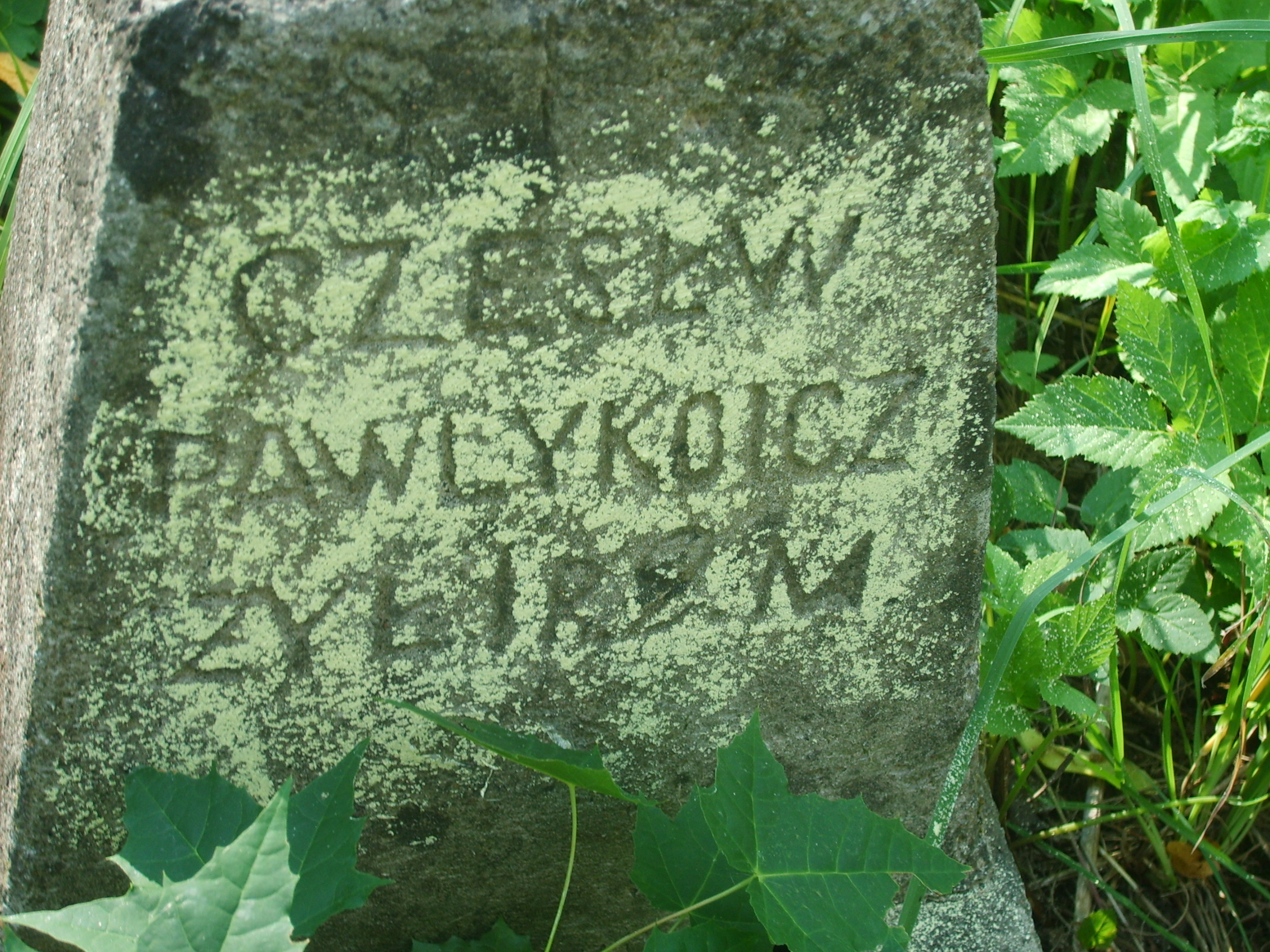 Fragment nagrobka Czesława Pawlykowicza z cmentarza na Rossie w Wilnie, stan z 2013 r.