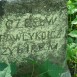 Fotografia przedstawiająca Nagrobek Czesława Pawlykowicz