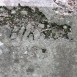 Fotografia przedstawiająca Nagrobek Ireny i Teresy Piłsudskich