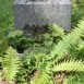 Fotografia przedstawiająca Tombstone of Helena Kowalenko