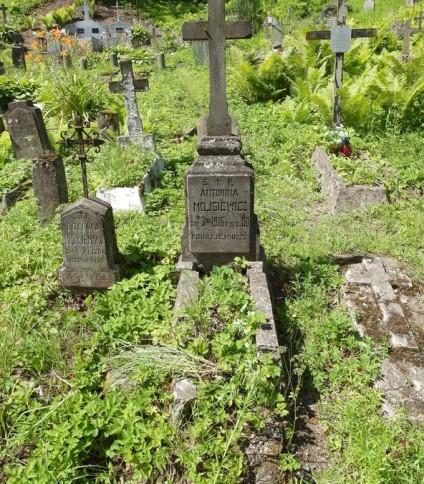 Nagrobek Antoniny Mojsiewicz z cmentarza na Rossie w Wilnie, stan z 2013 r.