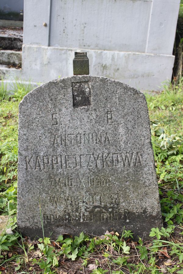 Tombstone of Antonina Karpiejczykowa, Ross cemetery in Vilnius, as of 2013.