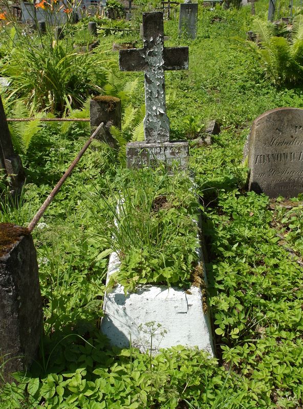 Bronislaw Dodo's tombstone from the Ross cemetery in Vilnius, 2015 status