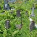 Fotografia przedstawiająca Nagrobek Marii Ostrowskiej