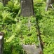 Fotografia przedstawiająca Nagrobek Marii Ostrowskiej