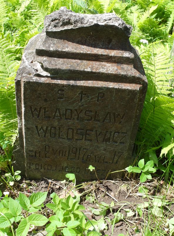 Nagrobek Władysława Wołosewicza z cmentarza na Rossie w Wilnie, stan z 2015 r.