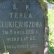 Fotografia przedstawiająca Tombstone of Tekla Klukiewicz