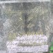 Альтернативний текст фотографії
