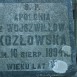 Fotografia przedstawiająca Gravestone of Apolonia Kozłowska