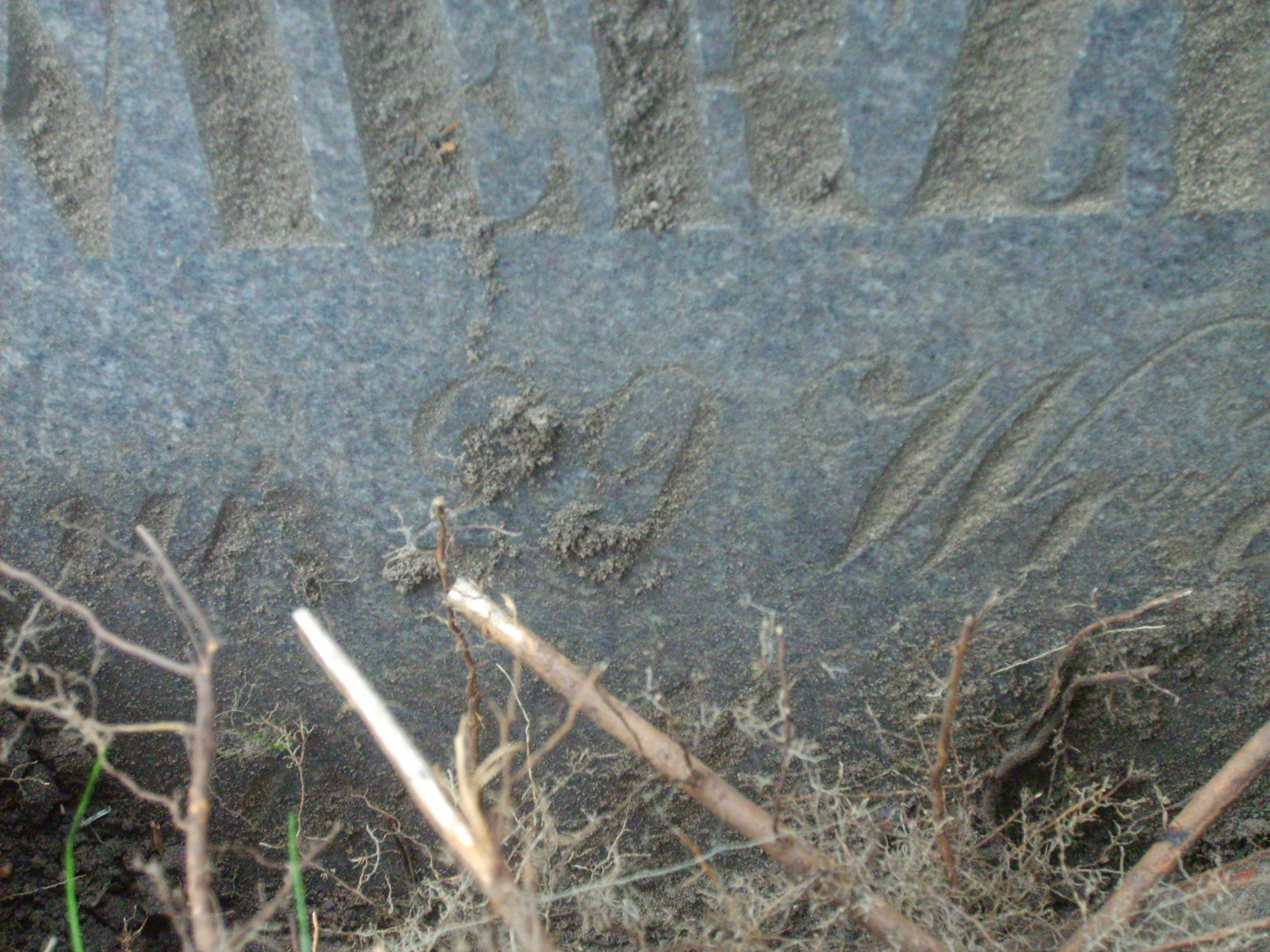 Inscription from the gravestone of Stanisław Wierzbicki, Na Rossie cemetery, as of 2013