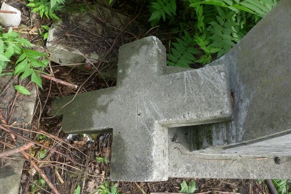 Fragment nagrobka Władysława Szedzianisa, cmentarz Na Rossie w Wilnie, stan z 2013 r.