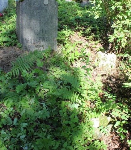 Nagrobek Adeli Iwaszewskiej, cmentarz na Rossie w Wilnie, stan z 2013