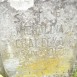 Fotografia przedstawiająca Nagrobek Michaliny Chaleckiej