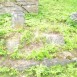 Fotografia przedstawiająca Nagrobek Michaliny Chaleckiej