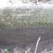 Fotografia przedstawiająca Nagrobek Józefy Salmanowicz