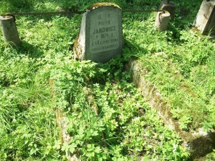 Nagrobek Piotra Janowicza, cmentarz Na Rossie w Wilnie, stan z 2013