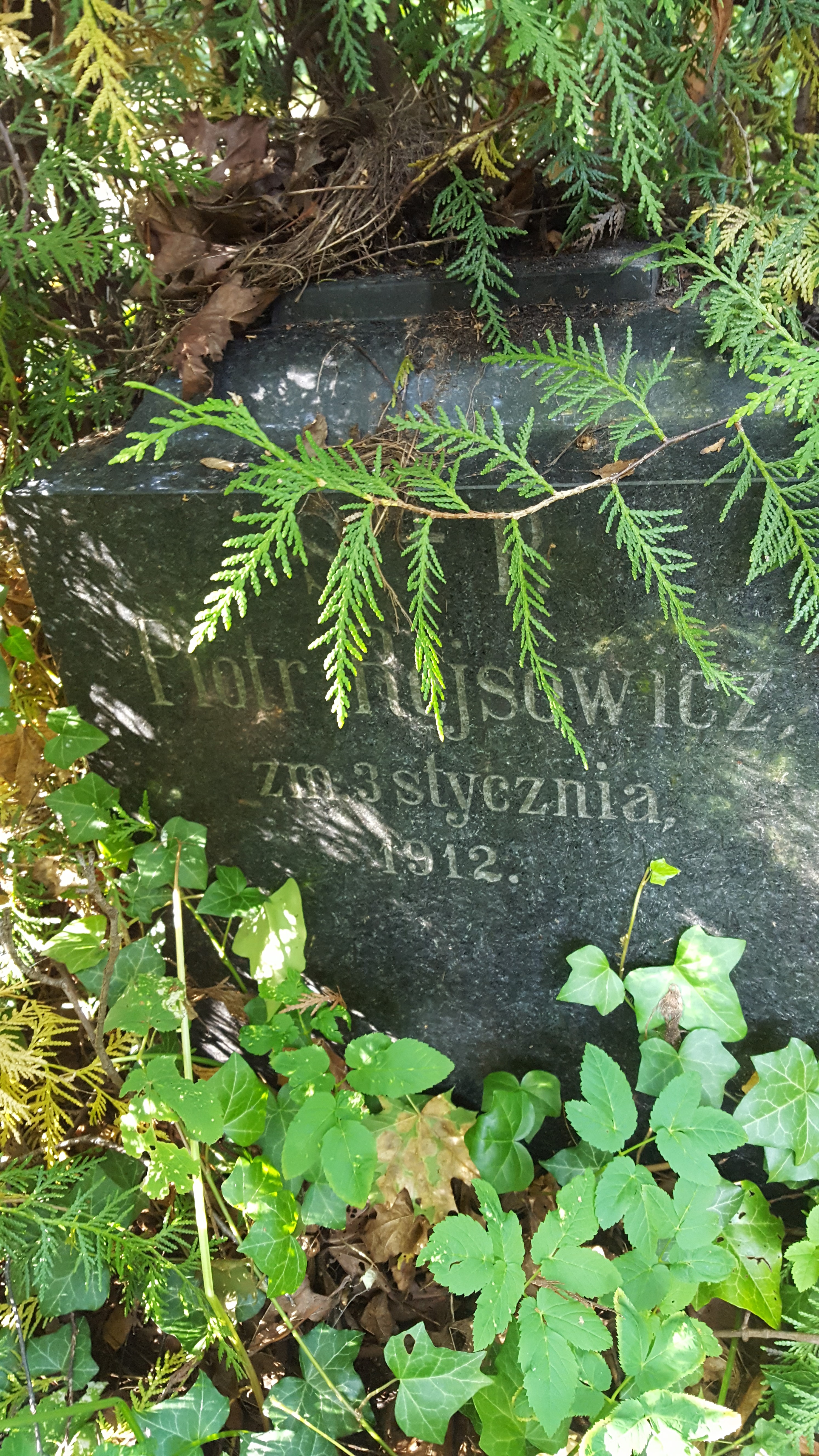 Napis z nagrobka Piotra Rejsowicza, cmentarz św. Michała w Rydze, stan z 2021 r.