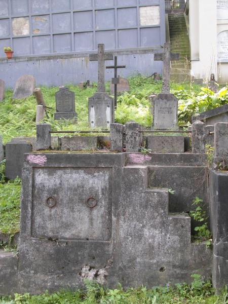 Grobowiec Marii Niedzielkowej oraz Marii i Władysława Ptaszyńskich, cmentarz na Rossie w Wilnie, stan na 2013 r.
